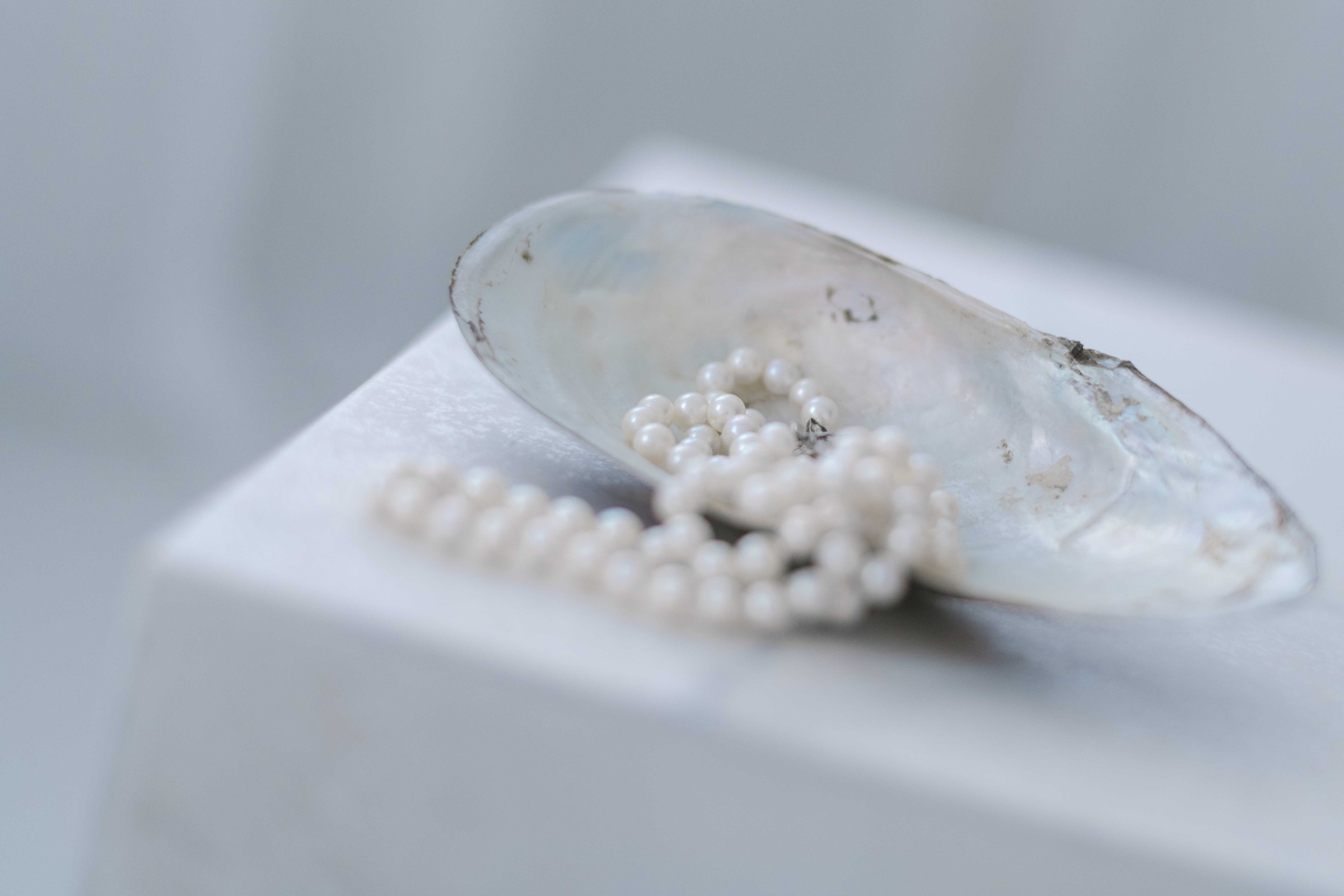 Shells and pearl wedding detail in ocean tones – luxury wedding photography Saphir Weddings